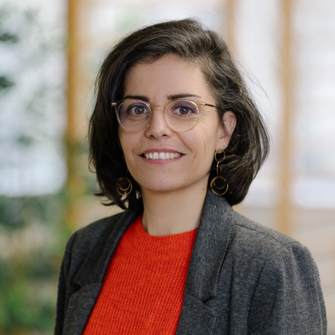 Céline Authemayou image